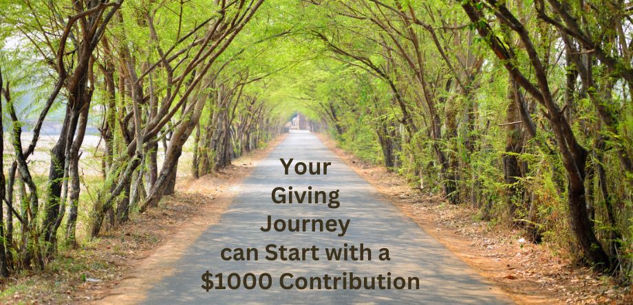 Your giving Journey can start with a $1000 contribution